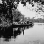 Dunns Creek