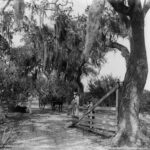 Entrance to Bostrps