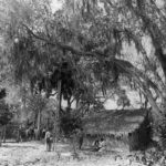Grass Hut
