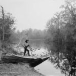 Rice Creek near Browns landing