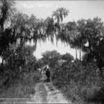Rockledge FL