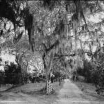 Rostontz Gate