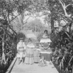 Seminoles 2