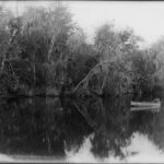 St.Johns Rivier