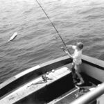 kid fishes