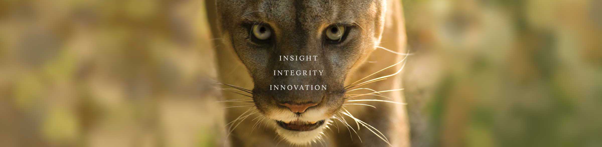 The Florida panther's muzzle and green eyes with an overlay of the words "insight, integrity, innovation"