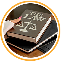 person holding a book labeled the law