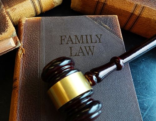 Wooden gavel resting on a Family Law book.